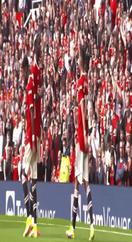 Soccer Game In Front Of TeamViewer Banner GIF