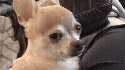 Soccer Game On ESPN And ABC Live GIF