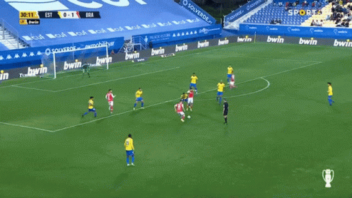 Soccer Game With Bwin Advertisements GIF