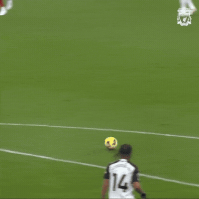 Goal GIFs