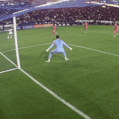 Soccer Goalie Number 1 GIF