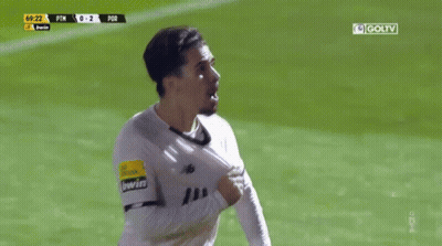 Soccer Player Celebrates Goal PTN Vs POR GIF