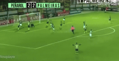 Soccer Player Celebrating Goal At Toyota Sign GIF