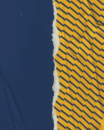 Soccer Player Celebrating Goal Sponsored By Shark GIF