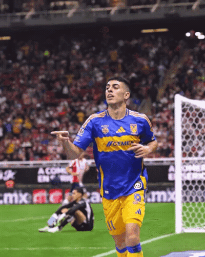 Soccer Player in Blue and Yellow Jersey