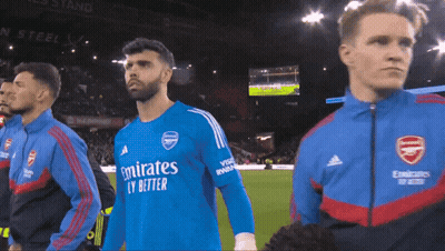 Soccer Player In Blue Emirates Fly Better Jersey GIF