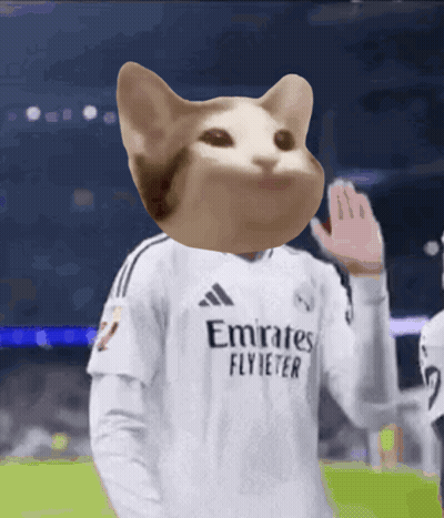 Soccer Player in Cat Head Jersey Saying Emirates Flybeter