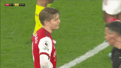 Soccer Player In Red Jersey With Fly On Sleeve GIF