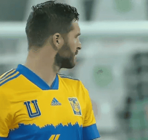 Soccer Player In Yellow And Blue Jersey GIF