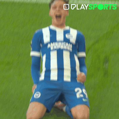 Soccer Player Number 29 Celebrating Goal GIF