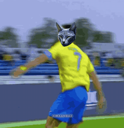Soccer Player With Cat Face And Number 7 GIF