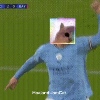 Soccer Player With Cat On Head GIF