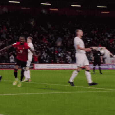 Soccer Players On Field With Crowd GIF