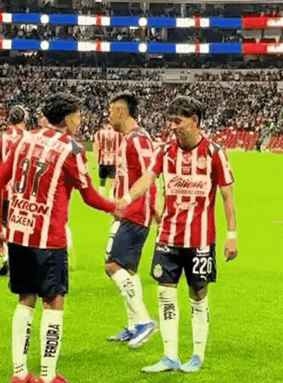 Soccer Players Shaking Hands On Field GIF