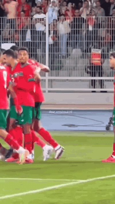 Soccer Players Standing On Field GIF