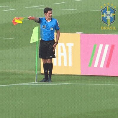Soccer Referee Holding Flag In Front Of Brasil Sign GIF