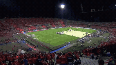 Soccer Stadium Full Of People GIF