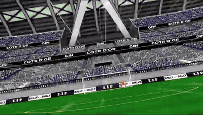 Soccer Stadium With Cotr D'Or Banner GIF