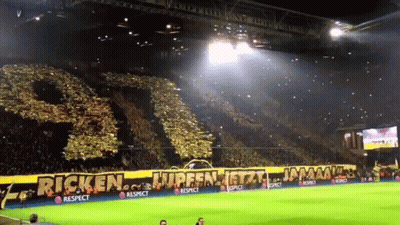 Soccer Stadium With Ricken Banner GIF