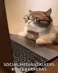 Social Media Stalkers Mike Barreras
