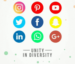 Social Media Unity In Diversity