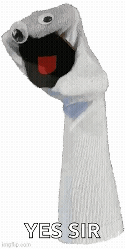 Sock Puppet With Googly Eyes Saying Yes Sir GIF