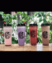Sofias Boba Milk Tea GIF