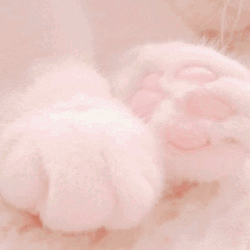 Soft Aesthetic Girl Cute Nail GIF