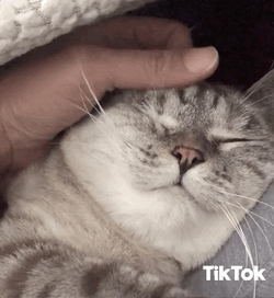 Soft GIF