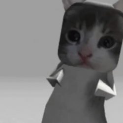 Soft Moving El Gato Meme GIF