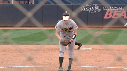 Softball Game Amazing Ace Pitch  GIF