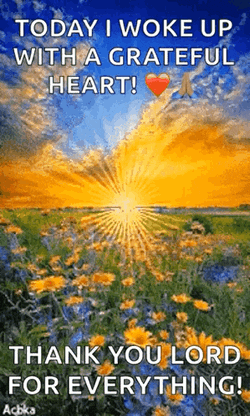 Sol En GIF