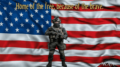 Soldier American Flag Home Of The Free Because Of The Brave GIF