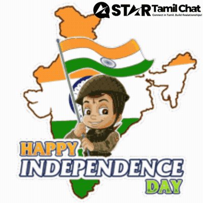 Soldier Holding Flag Happy Independence Day GIF