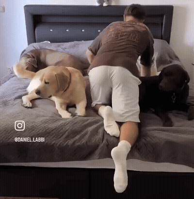 Soldier Holding Gun In Dark Room #ModernWarfare GIF