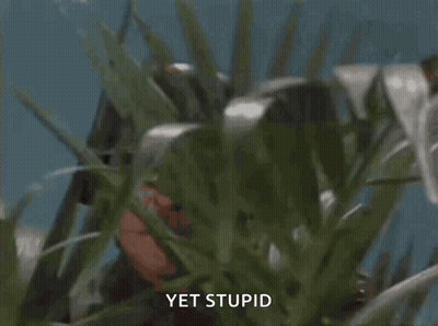Soldier Meme GIF