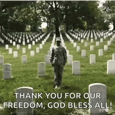 Soldier Standing In Cemetery Thank You For Our Freedom GIF