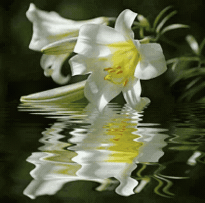 Soldiers Marching With Mamkunnil@yahoo.com GIF