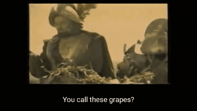 Soldiers Talking In Field GIF