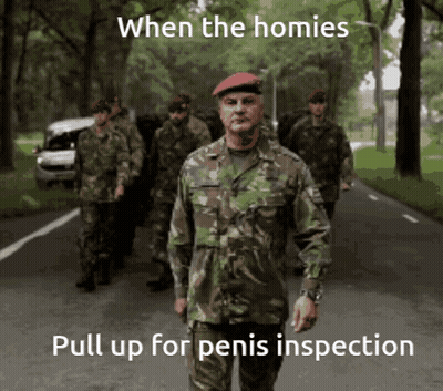 Soldiers Walking When The Homies Pull Up For Penis Inspection GIF