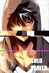 Solo Leveling Solo Player GIF