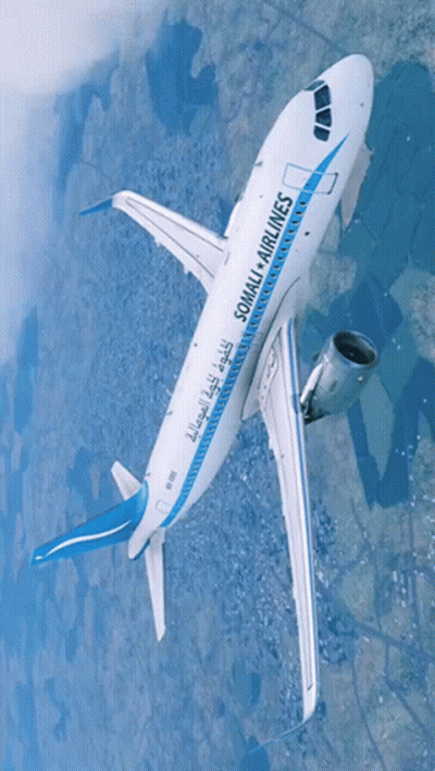 Somali Airlines Airplane Flying GIF