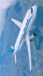Somalia Airplane Flying GIF