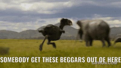 Somebody Get These Beggars Out Of Here GIF
