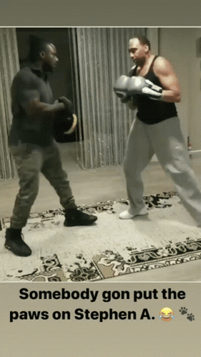 Somebody Gon Put The Paws On Stephen A. Two Men Boxing GIF