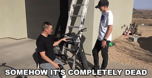 Somehow It 'S Completely Dead Is Written On A Picture GIF