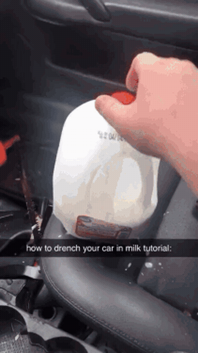 Someone Is Holding A Gallon Of Milk In A Car GIF