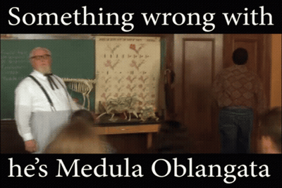 Something Wrong With Medulla Oblongata GIF