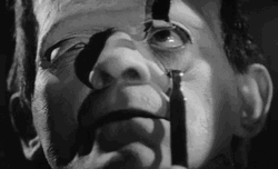 Son Of Frankenstein Eyes Wide Shut GIF