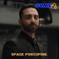 Sonic 2 Agent Stone Space Porcupine GIF